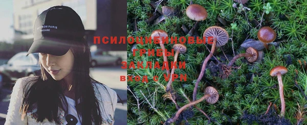тгк Сатка