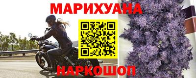 альфа пвп Аргун