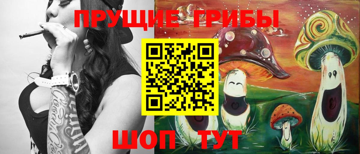 Галлюциногенные грибы Cubensis  Беслан 